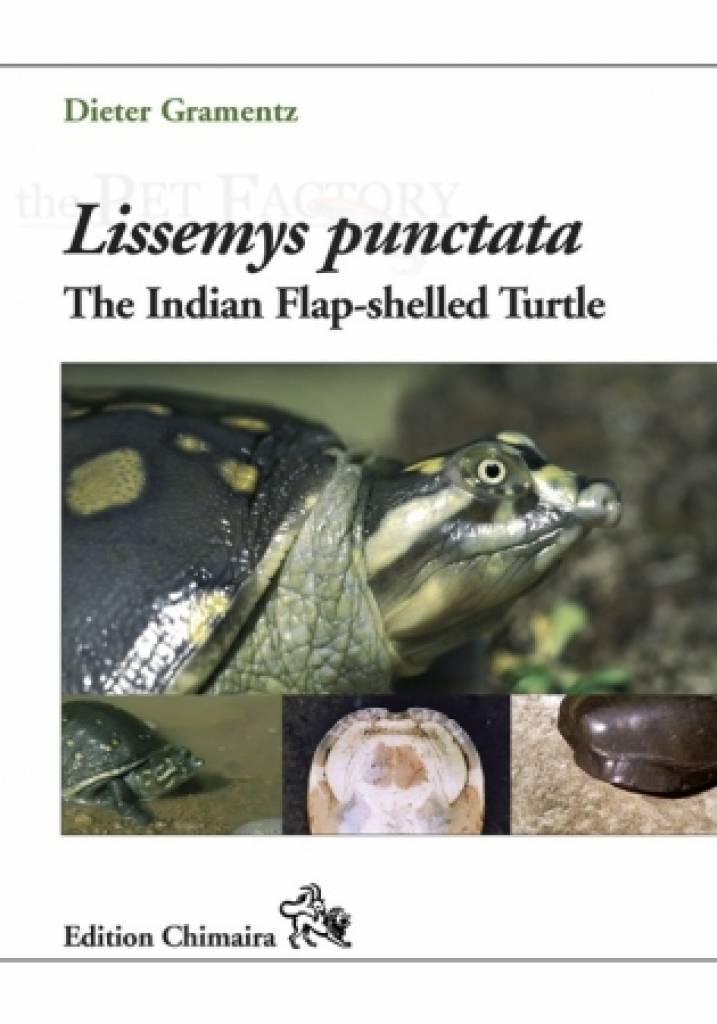 Lissemys punctata - The Indian Flap-shelled Turtle